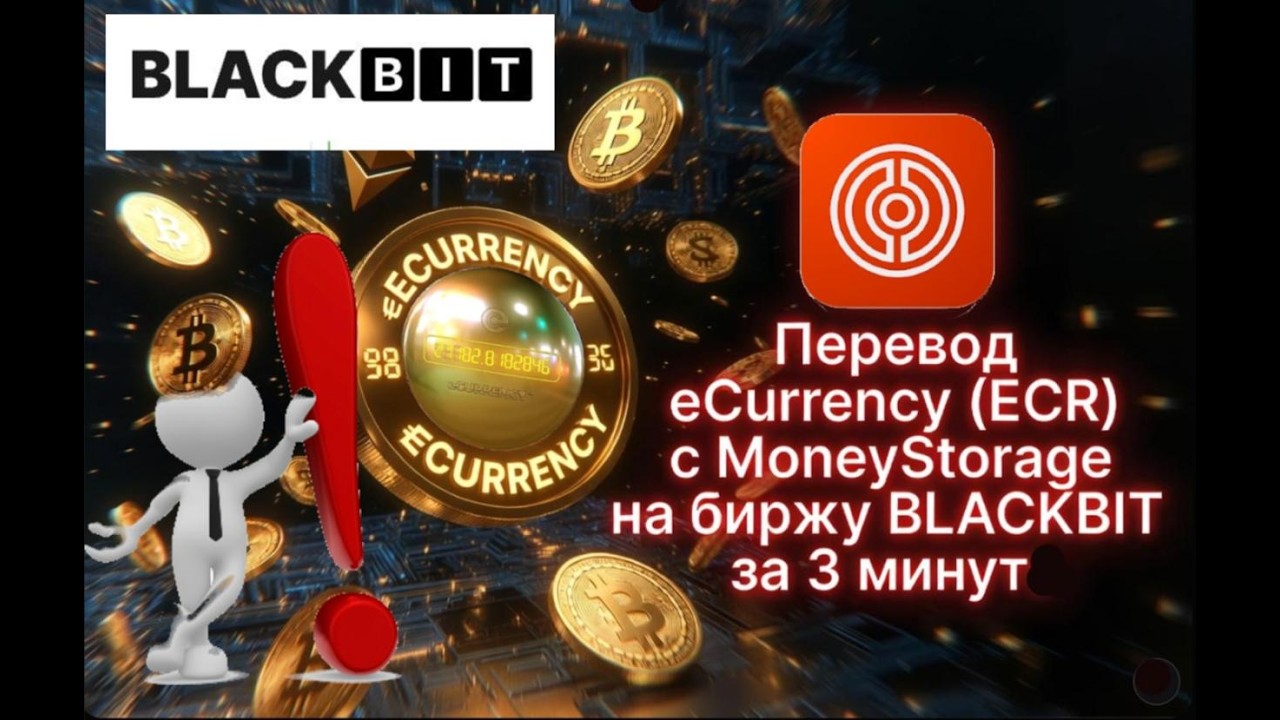 Перевод ЕКАРЕНСИ с МаниСторедж на биржу BLACKBIT за 3 минуты