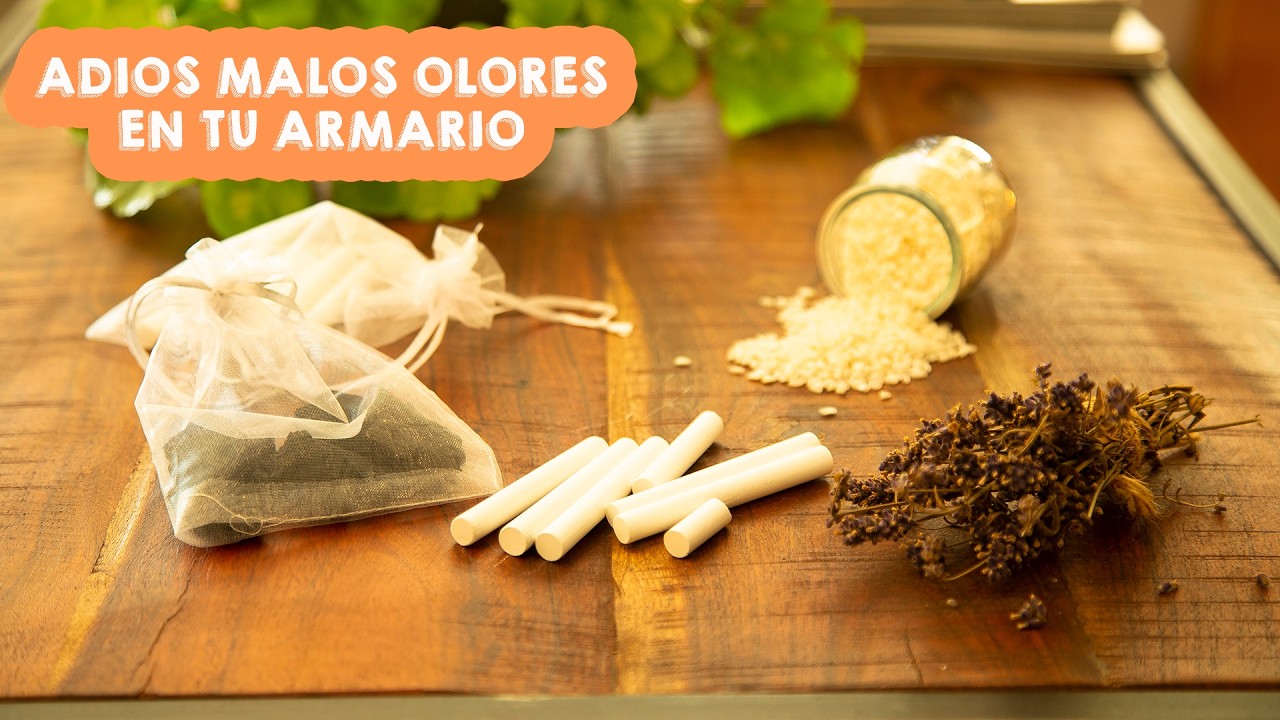 OLVÍDATE  de  MALOS OLORES  de HUMEDAD en tu ARMARIO TRUCOS CASEROS
