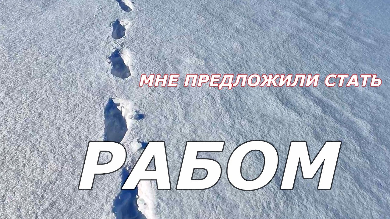 МНЕ ПРЕДЛОЖИЛИ, РОБОТУ С БРОНЬЮ