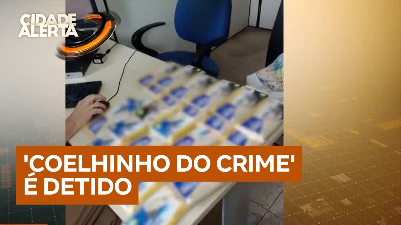 'Coelhinho do crime' é detido após furtar 27 barras de chocolate em supermercado