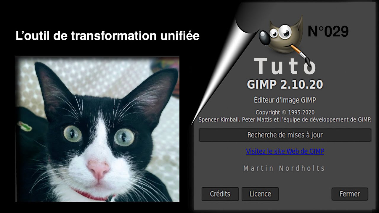 Tuto Gimp 2 10 20 pour débutant – 029 - L’outil de transformation unifiée