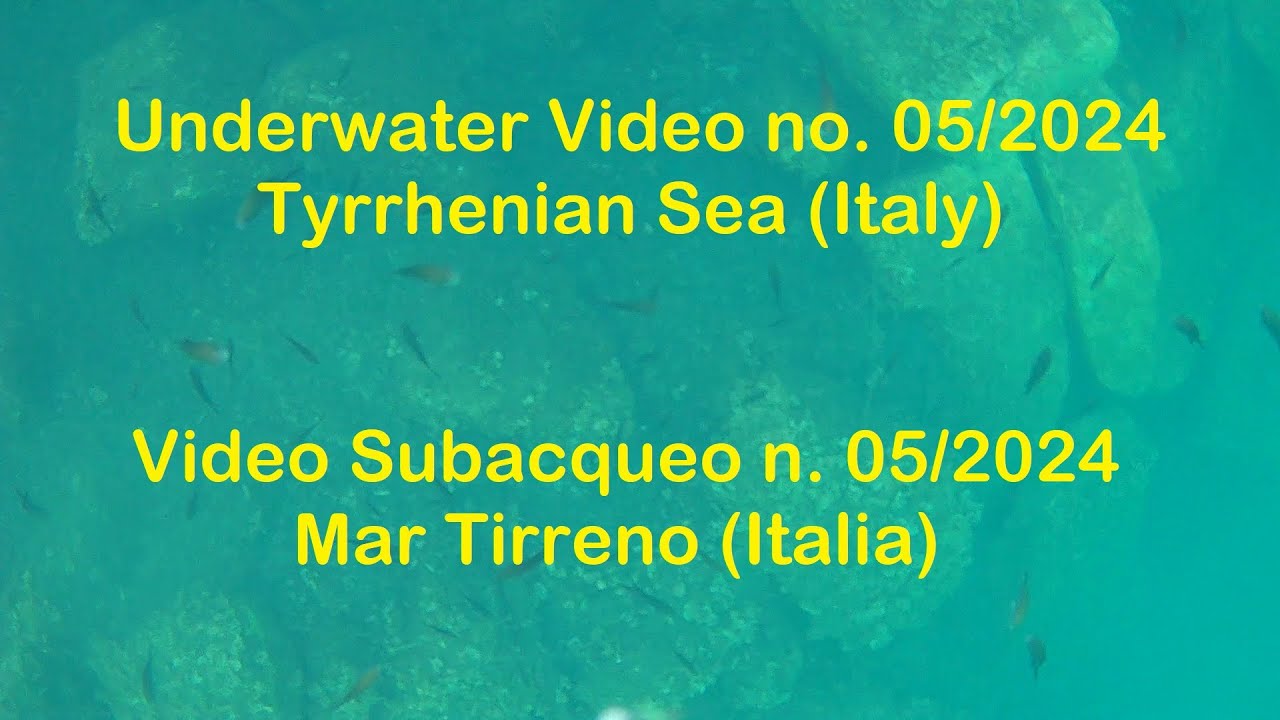 Video Subacqueo n. 5/24 - Mar Tirreno / Underwater Video no. 5/24 - Tyrrhenian Sea (Italy)