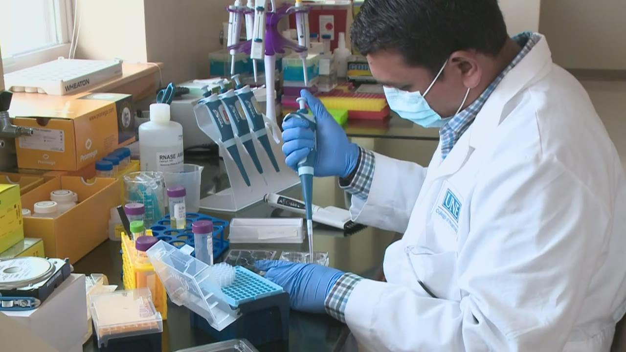 UNE professor develops potentially life saving technology.