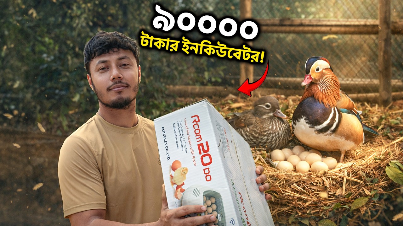 ডিম ফোটানোর নতুন বিদেশী ইনকিউবেটর এনেছি! 🐣