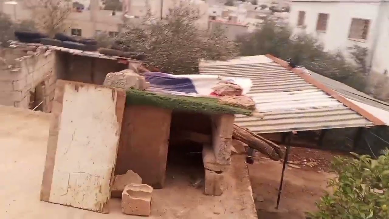 صيد صيد نوري منمر مشاهده ممتعه