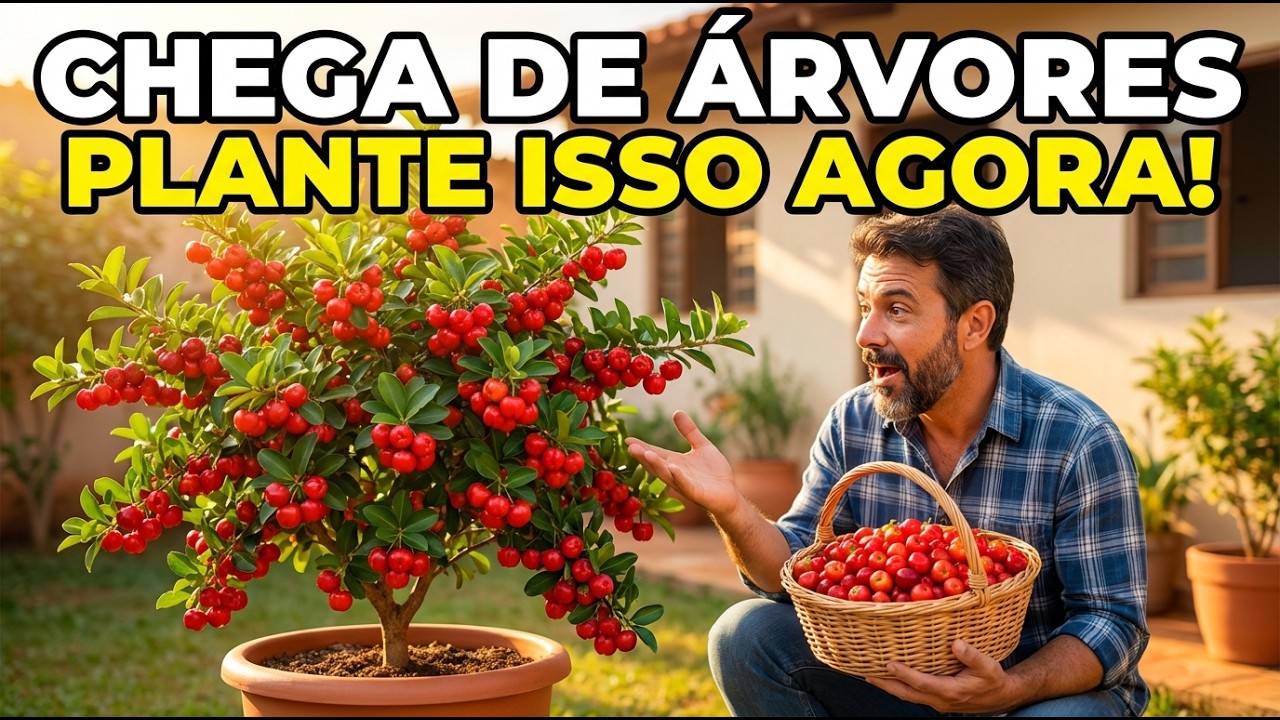 Plante Estas 8 Árvores E Alimente Sua Família Para SEMPRE