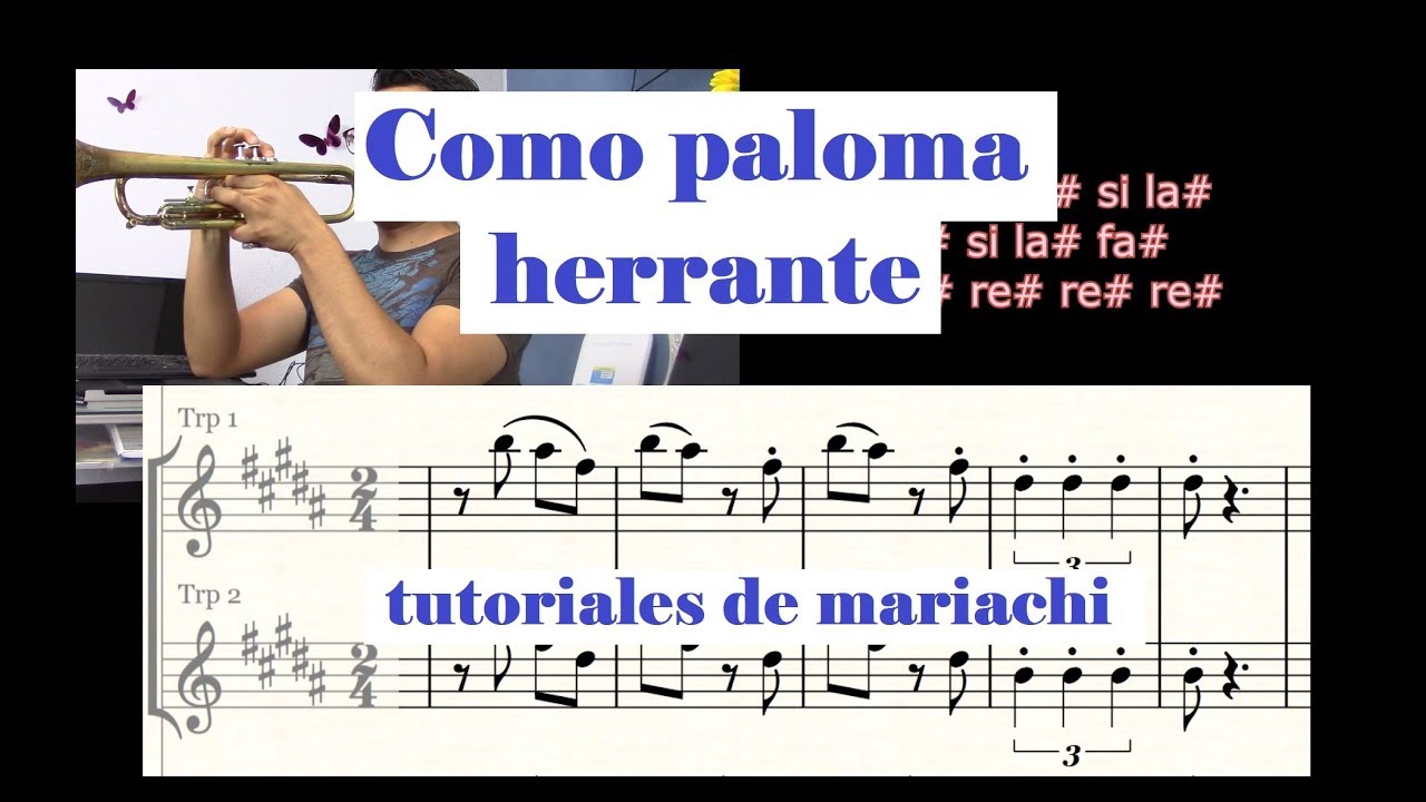 Como paloma herrante