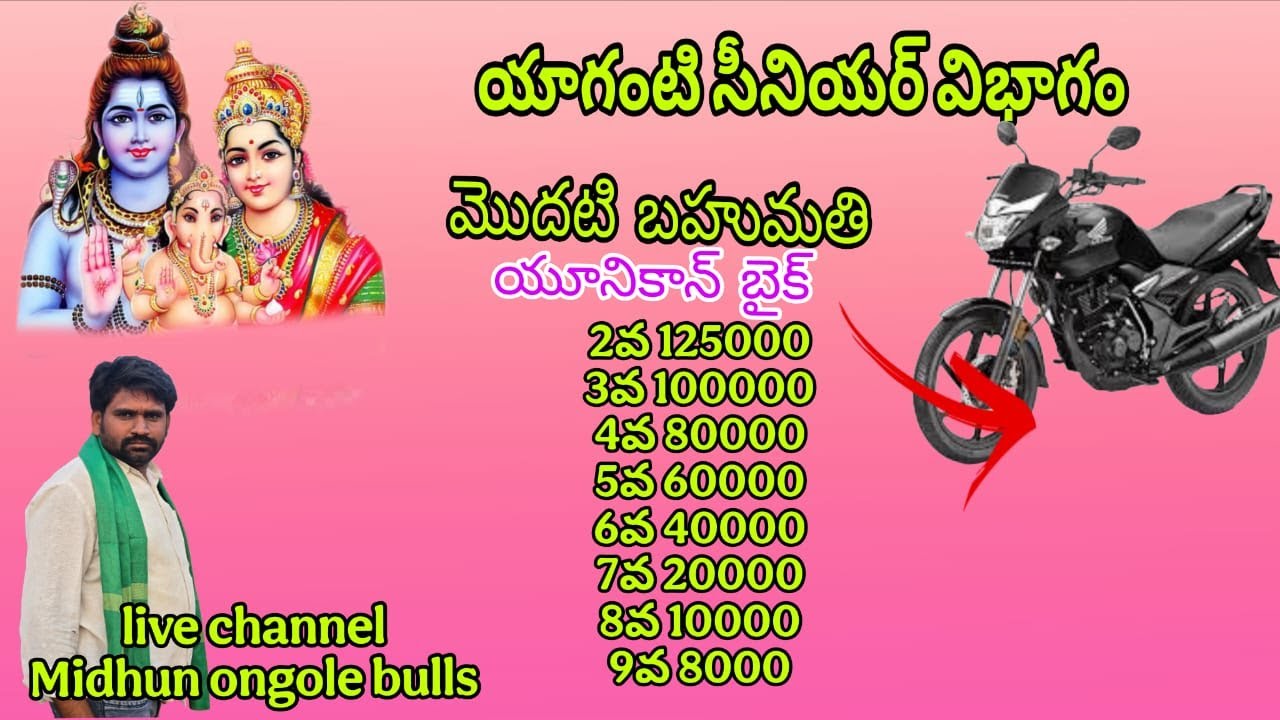 యాగంటి సీనియర్ విభాగంలో  13