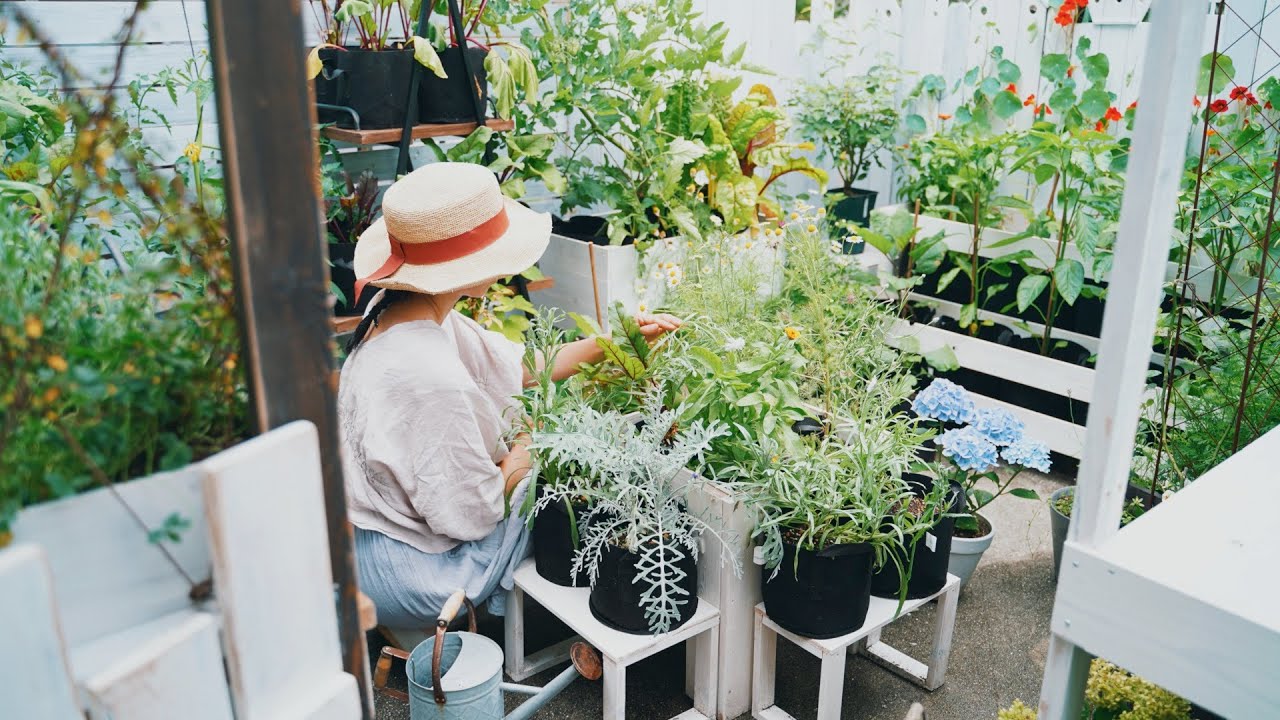 整理する花の棚diy｜虫除け対策のための手作りスプレー