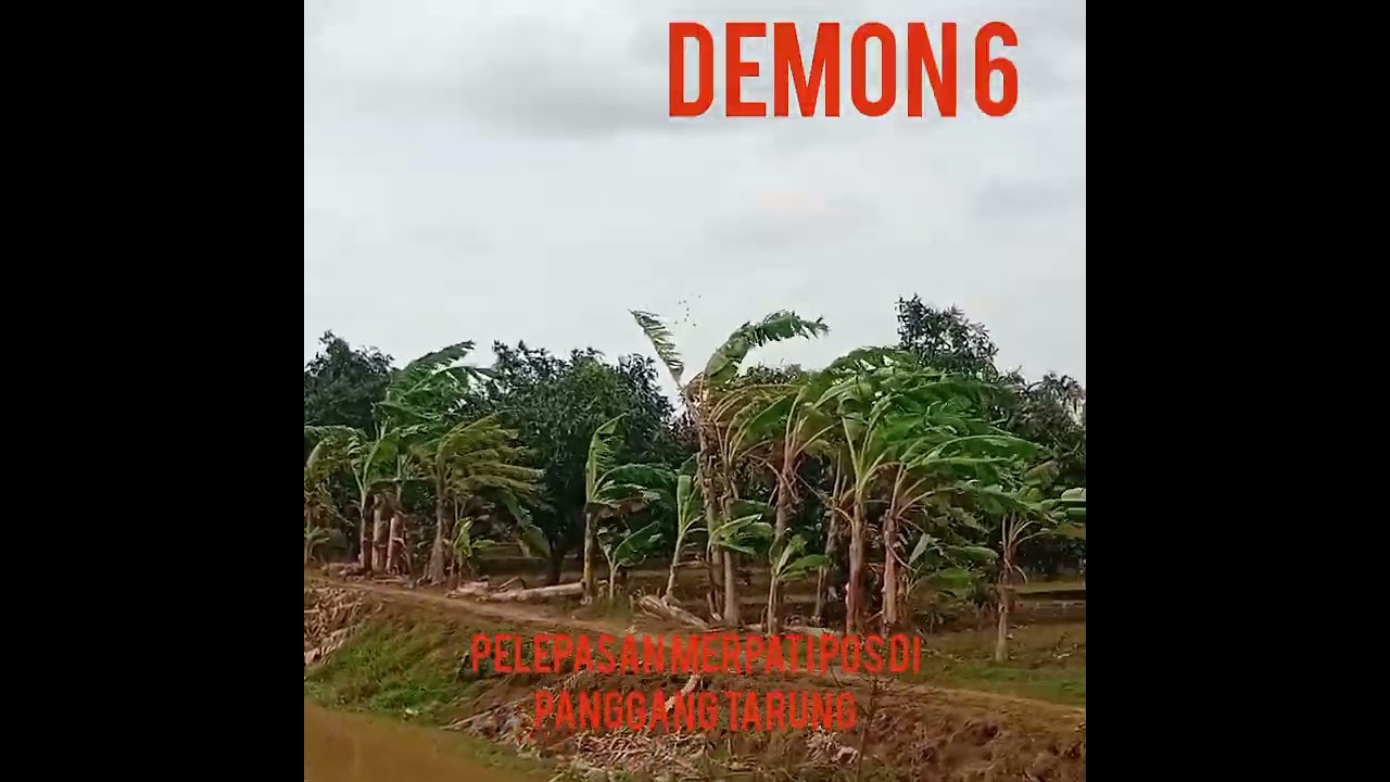 Melatijmerpati pos yg ke6
