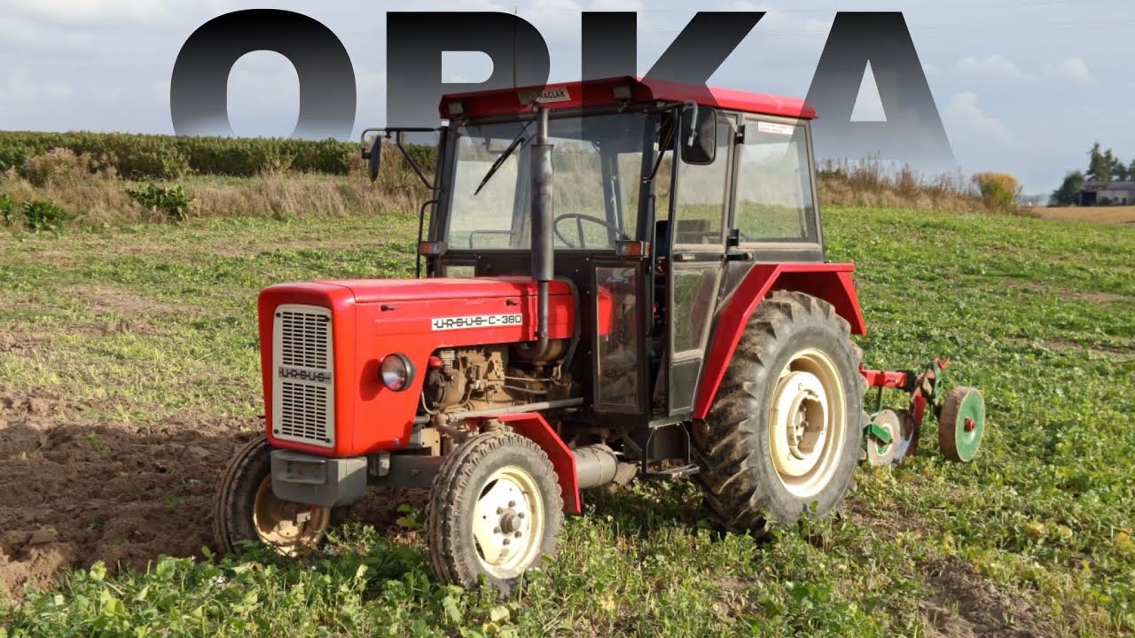 Orka pod pszenicę ozimą 60-siątka daje czadu 🔥🔥