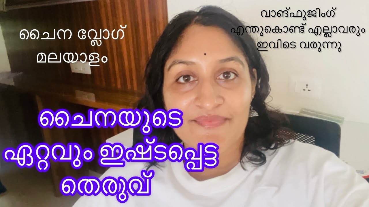 വാങ്‌ഫുജിംഗ് 🇨🇳 | ബീജിംഗ് യാത്രയിലെ BEST സ്ഥലം | Archana 