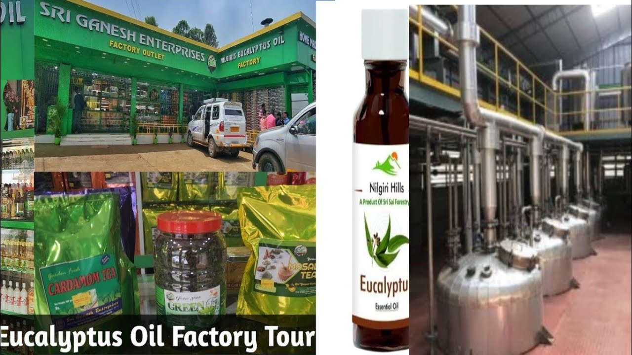 EUCALYPTUS OIL FACTORY IN OOTY 