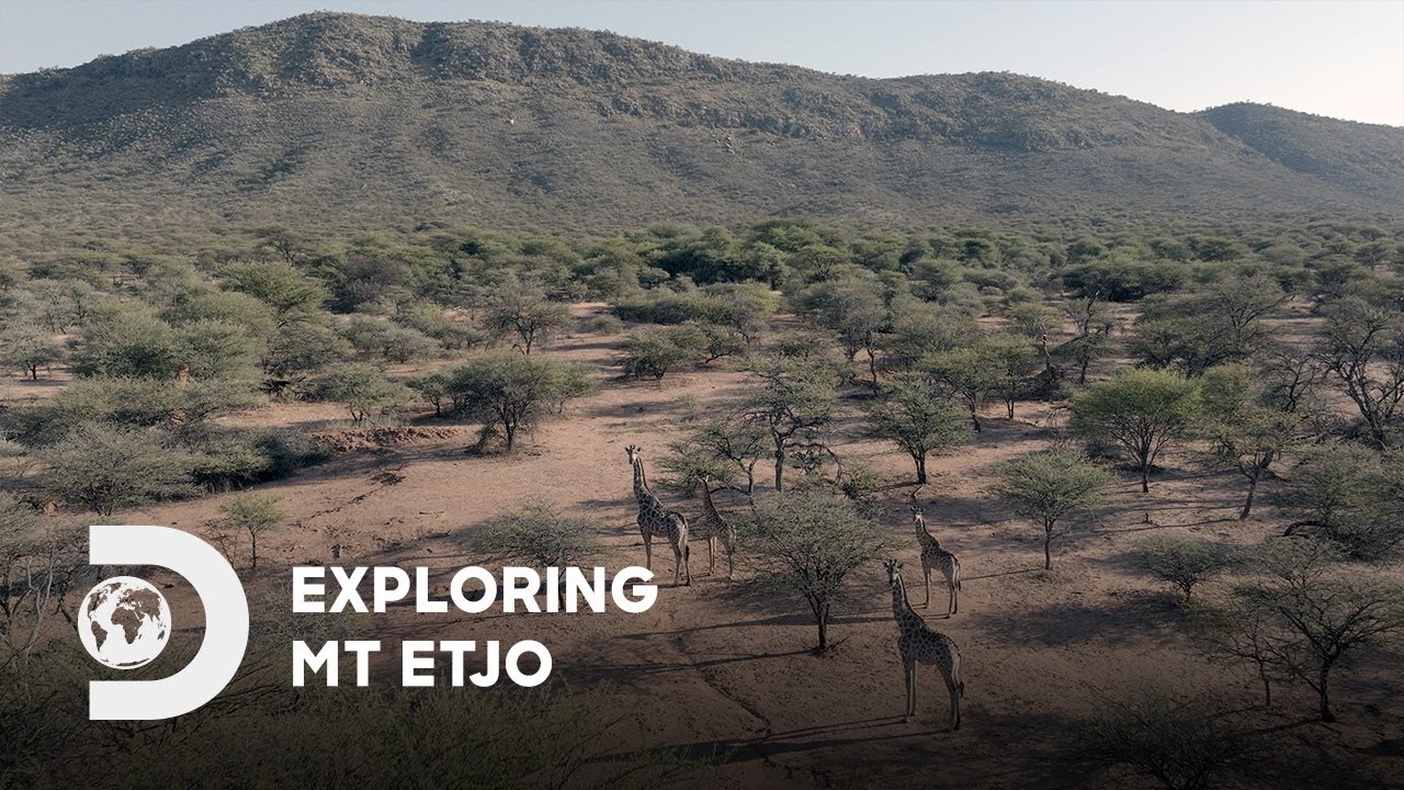 Exploring Mt Etjo | Return of the Cheetah | Discovery Channel Southeast Asia