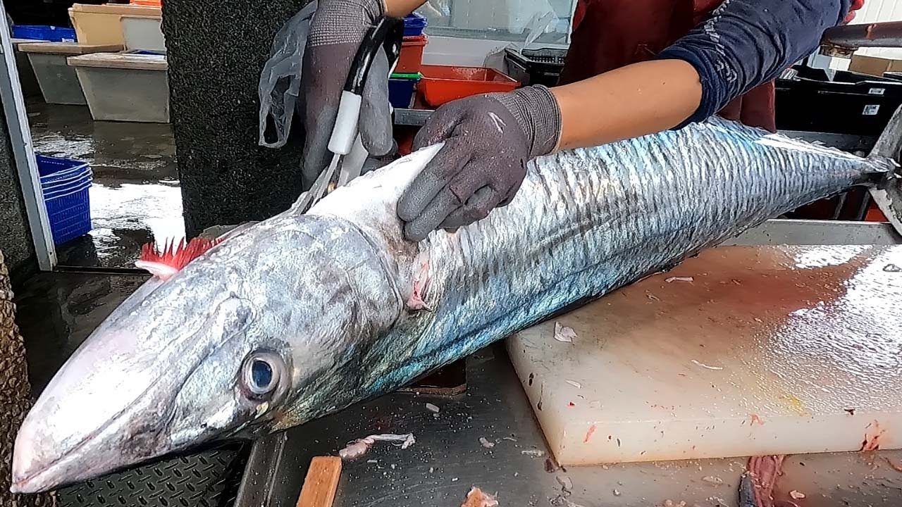 Мастерство разделки гигантской испанской скумбрии - тайваньские морепродукты