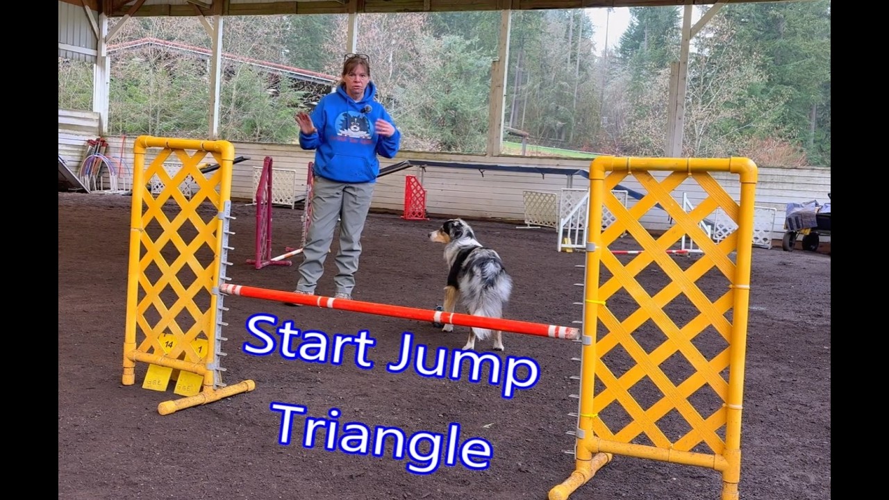 Start Jump Triangle - Beginning Dog Agility Handling