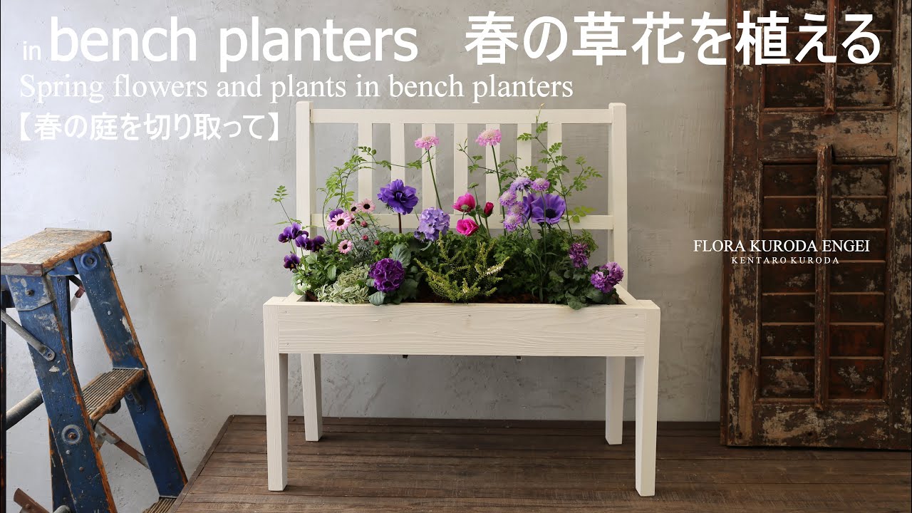 寄せ植え／ベンチプランターの春庭【冬のガーデニング】春の草花を使って-フローラ黒田園芸-4K ULTRA HD