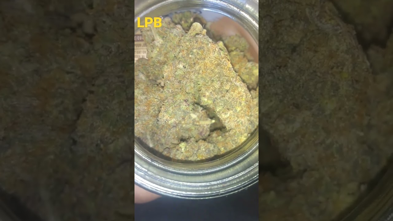 low price bud, grape ape