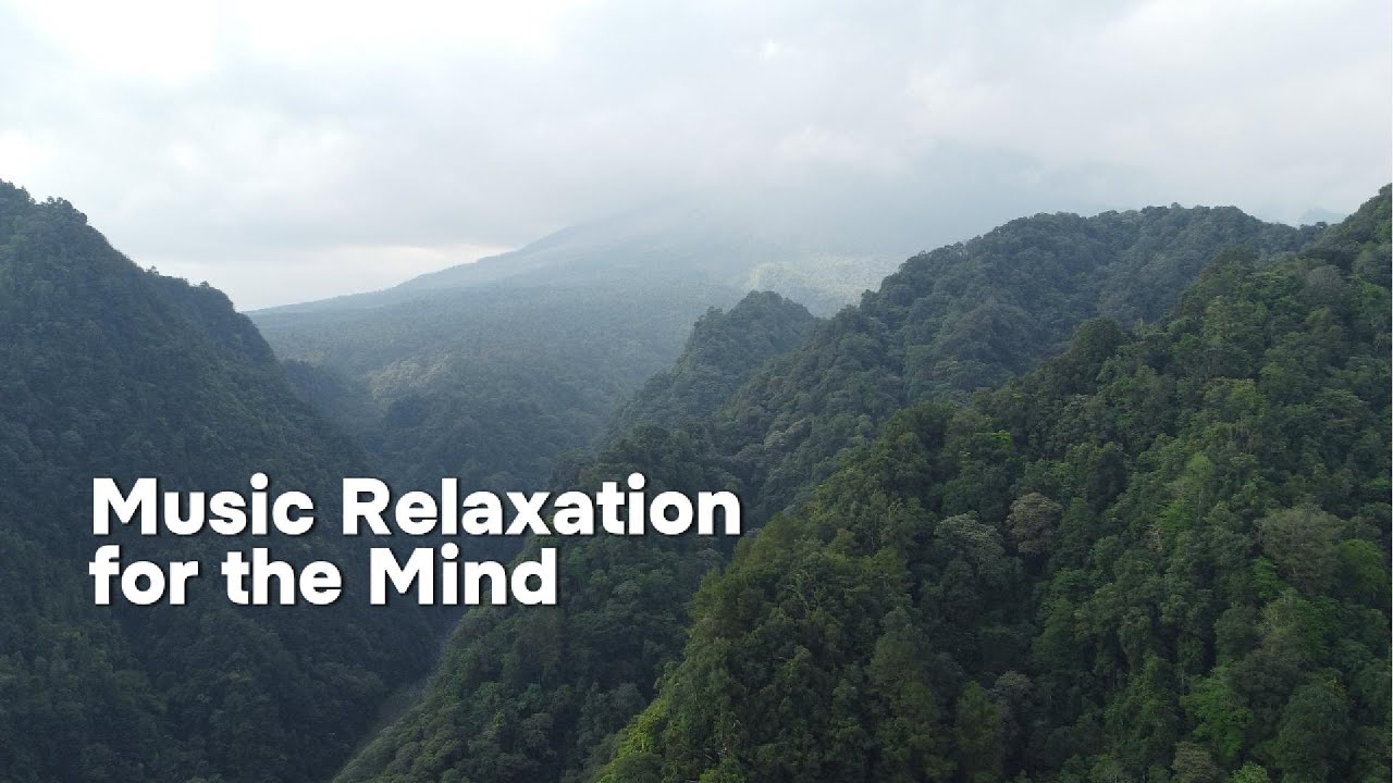 Deep Relaxation Music – Peaceful Sounds for a Calm Mind