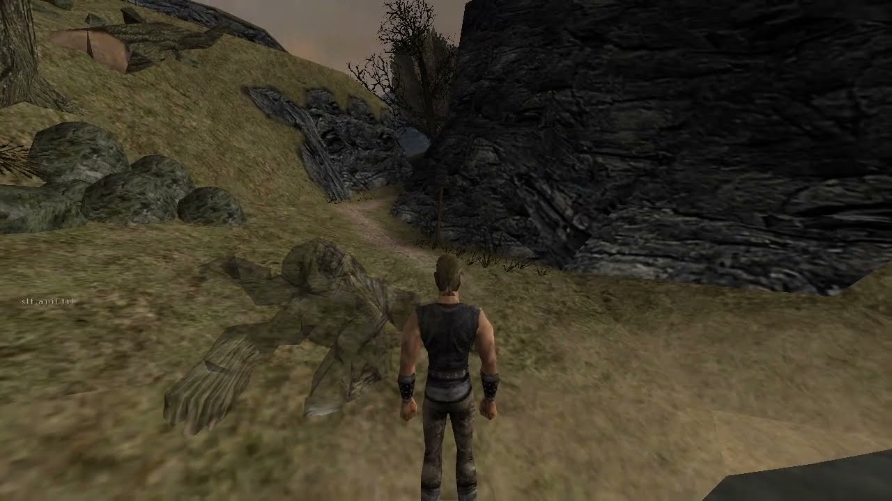 Gothic FadeAway dead NPCs