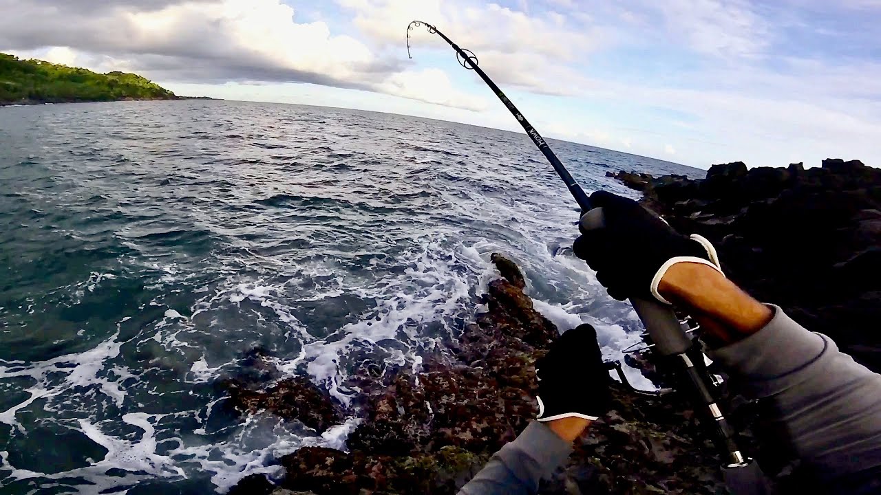 Ma Première Sériole du Bord & Un Record Personnel - Pêche Exotique (Guadeloupe)