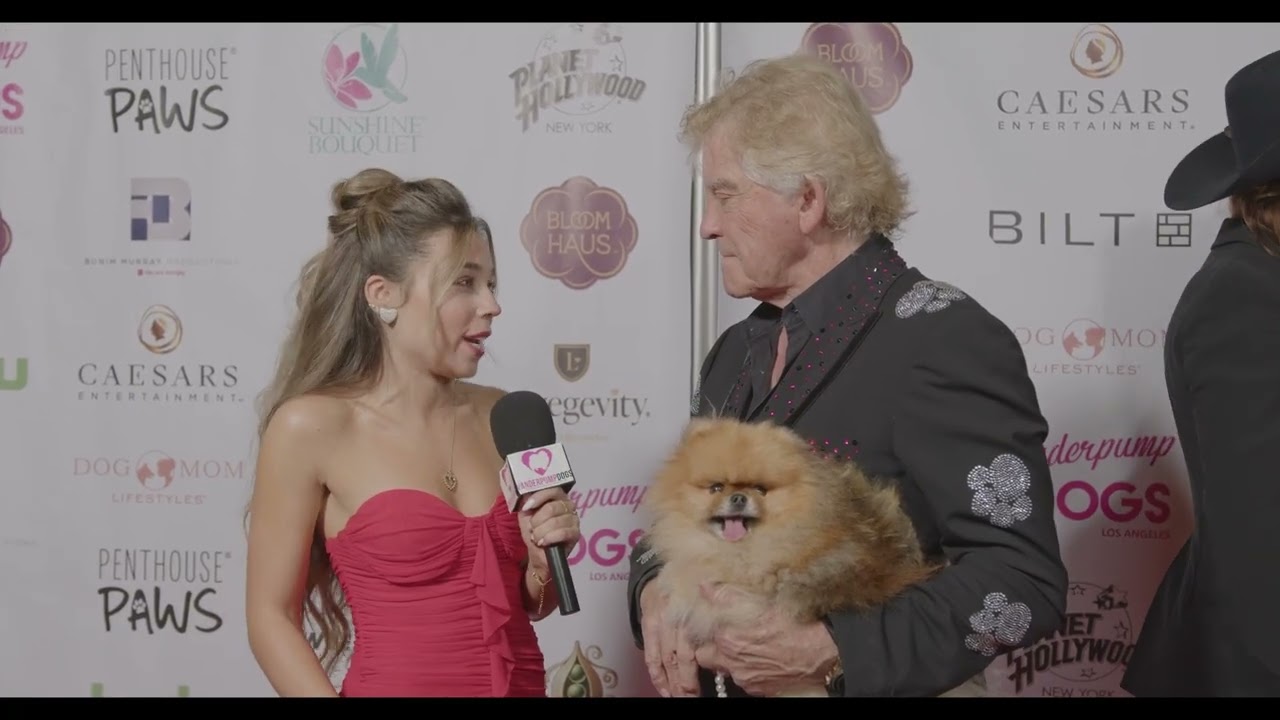 Ken Todd talks marriage, dogs, and Vanderpump Dogs