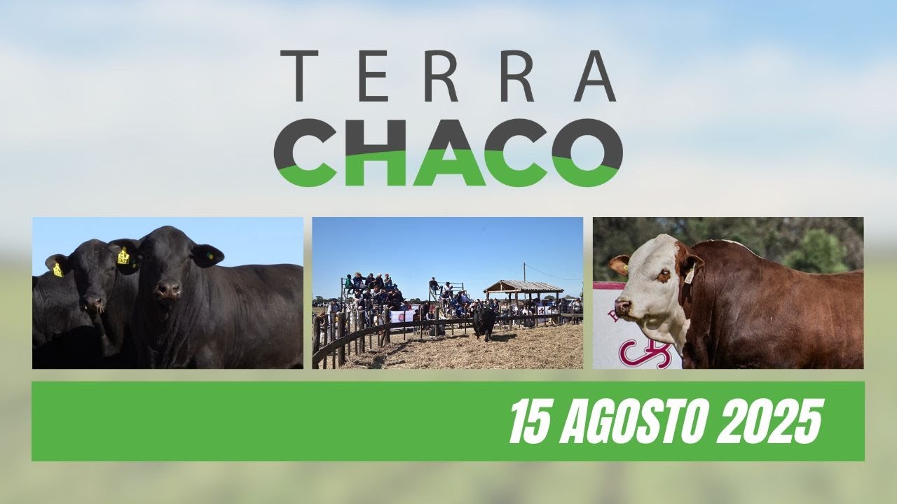 REMATES DE CABAÑA LAS DOS A 29 Y 30 AGOSTO Y PROGRAMA GENÉTICO EL MIRADOR 27 AGOSTO | TERRA CHACO