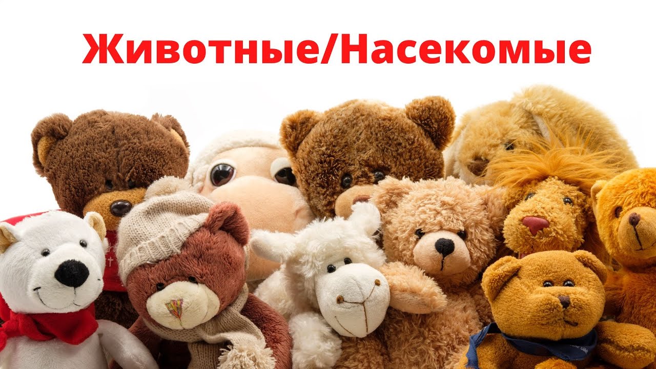 ЖИВОТНЫЕ/НАСЕКОМЫЕ. ЧАСТЬ 1.