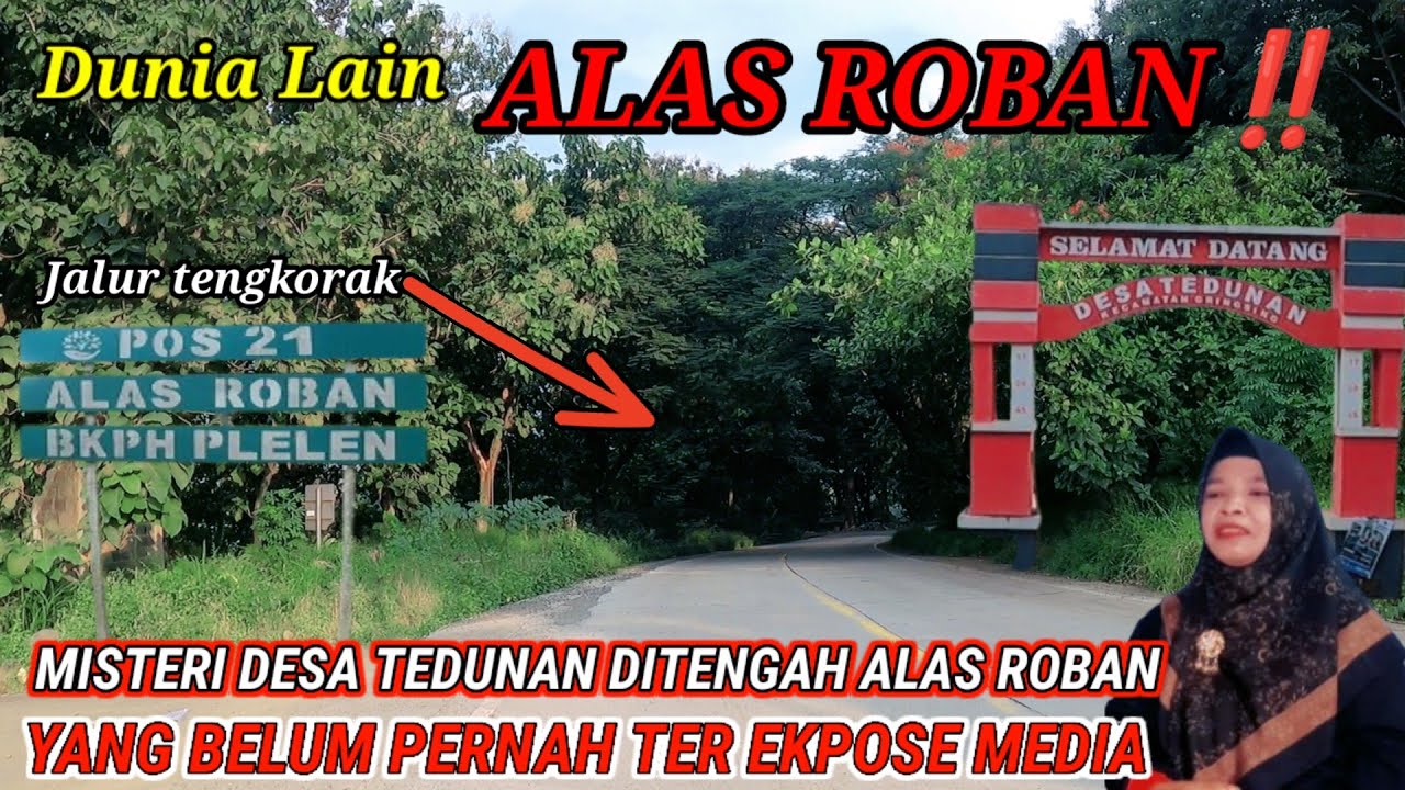 Kisah nyata‼️ MISTERI Desa TEDUNAN di TENGAH HUTAN ANGKER ALAS ROBAN