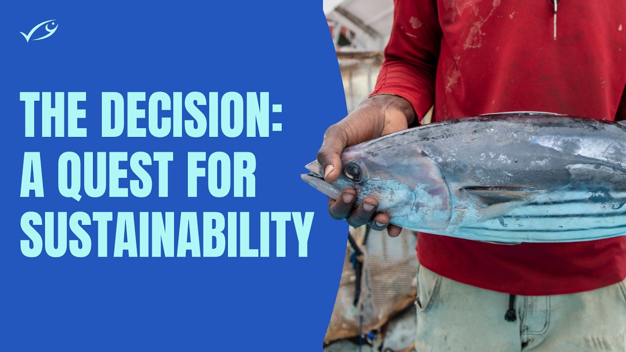 The Decision: A Tuna Fishery's Quest for Sustainability