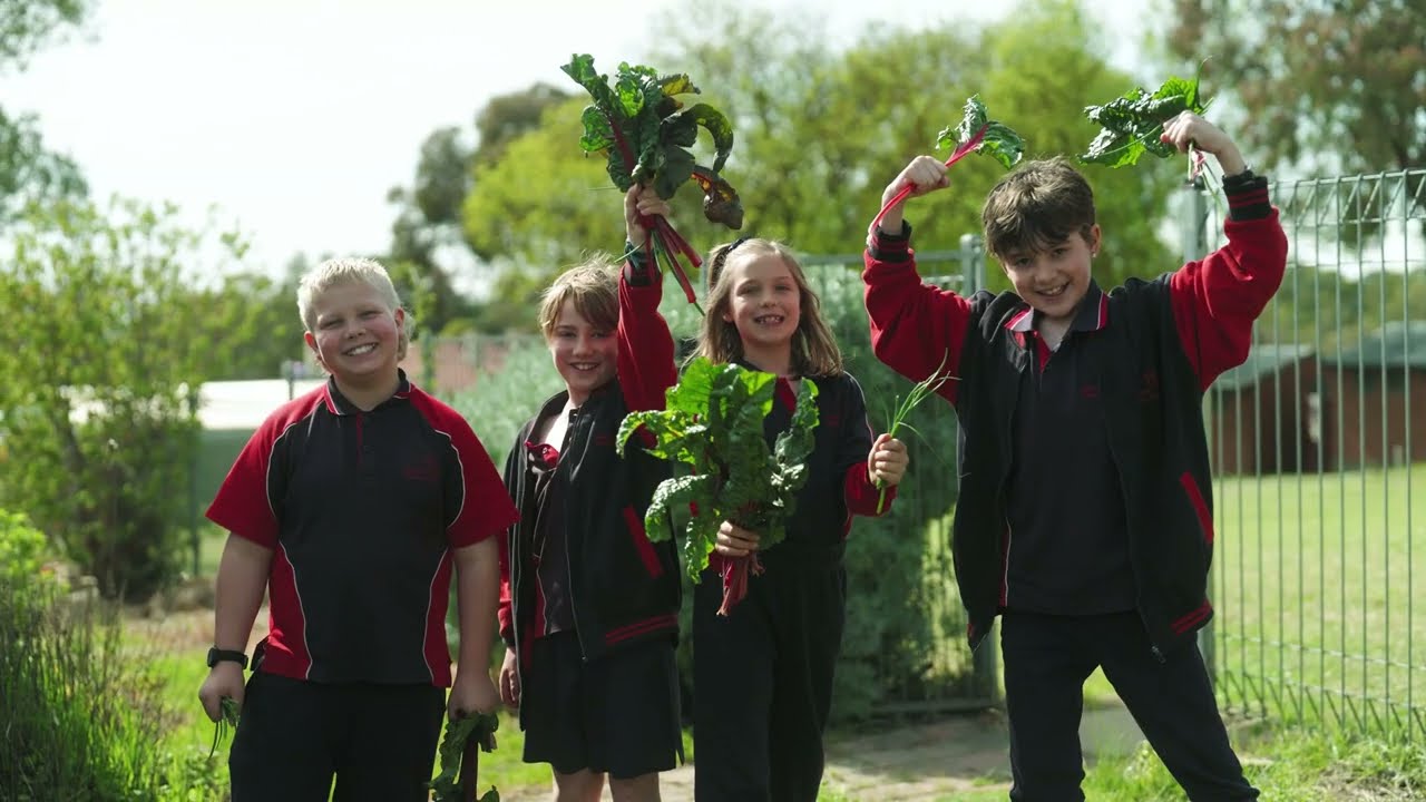 Springton Primary School - Public Education Awards 2025