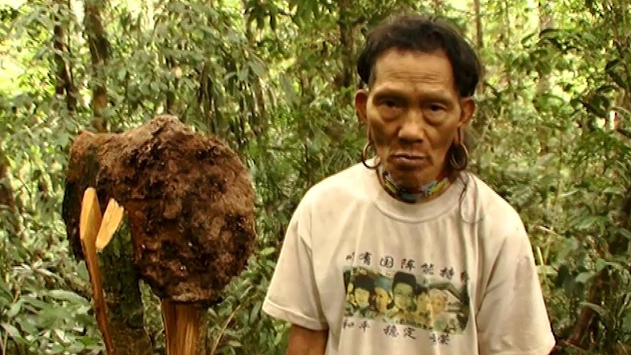 Complex Signs Used By The Penan To Communicate - Tribe With Bruce Parry - BBC