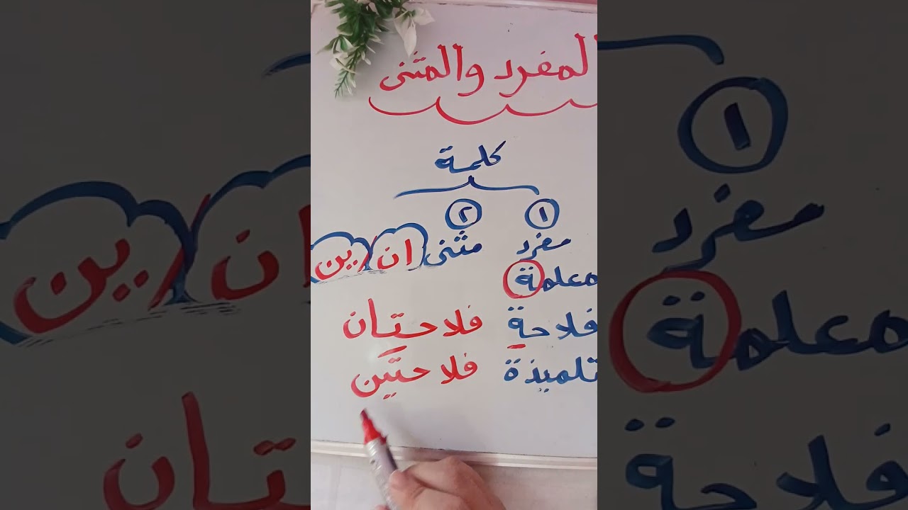 المفرد و المثني... شرح و حل تدريبات  (الصف الثاني الابتدائي )