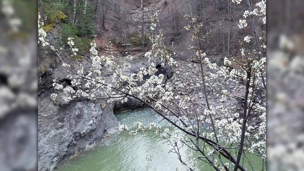 Cascada Putnei (Săritoarea Putnei)