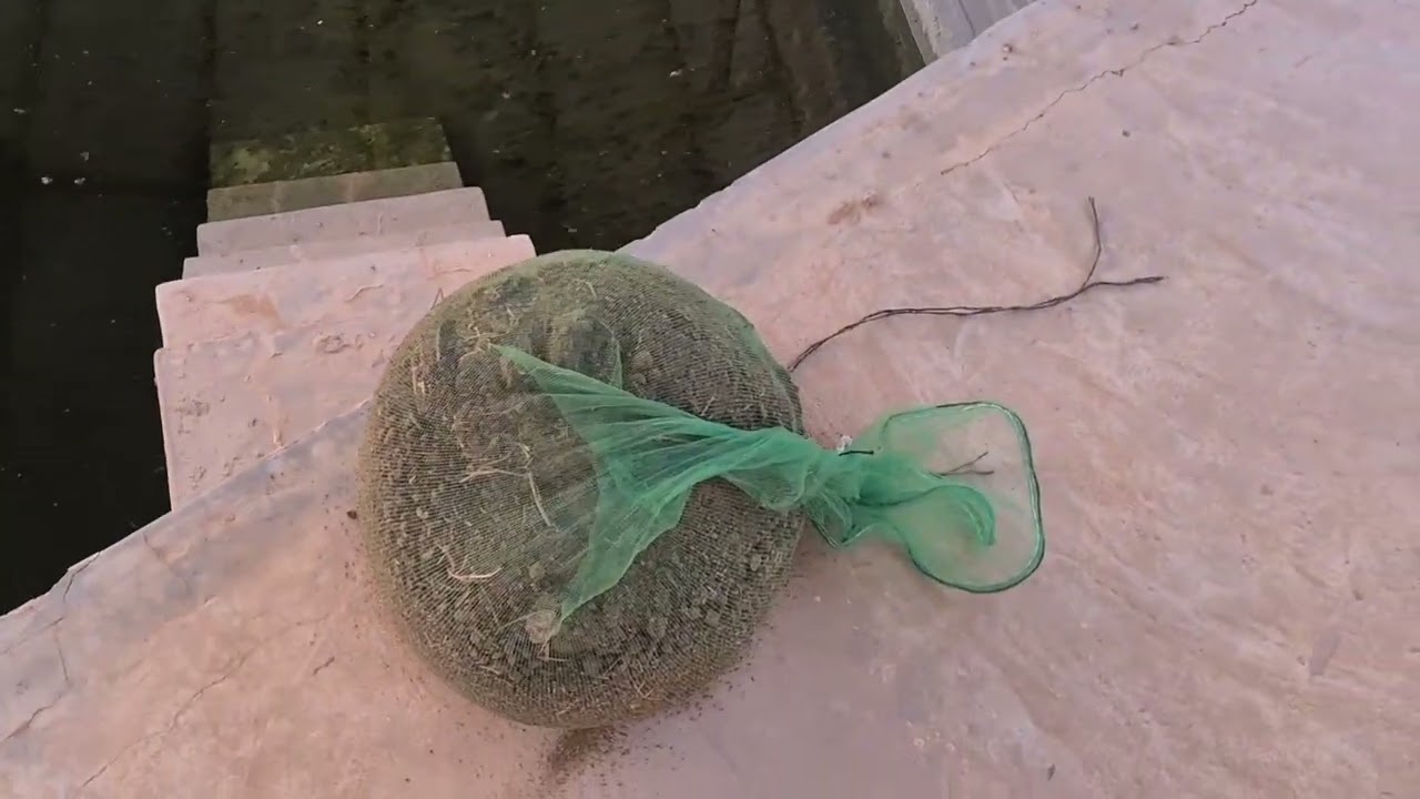 التسميد العضوي فصل الصيف