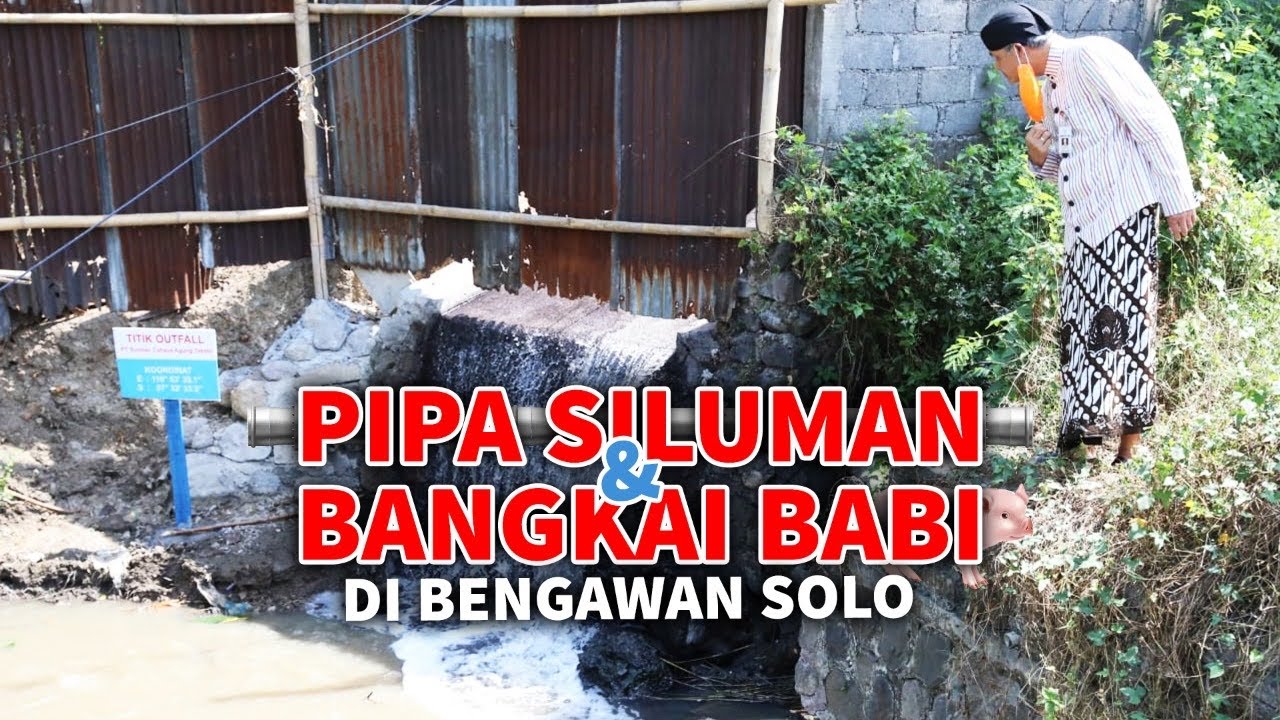 TEMUAN SIDAK DI BENGAWAN SOLO : ADA BANGKAI BABI DAN PIPA SILUMAN