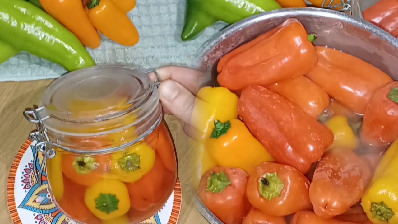 وجدي فلفلة مرقدة إكسبريس 24 ساعة👍