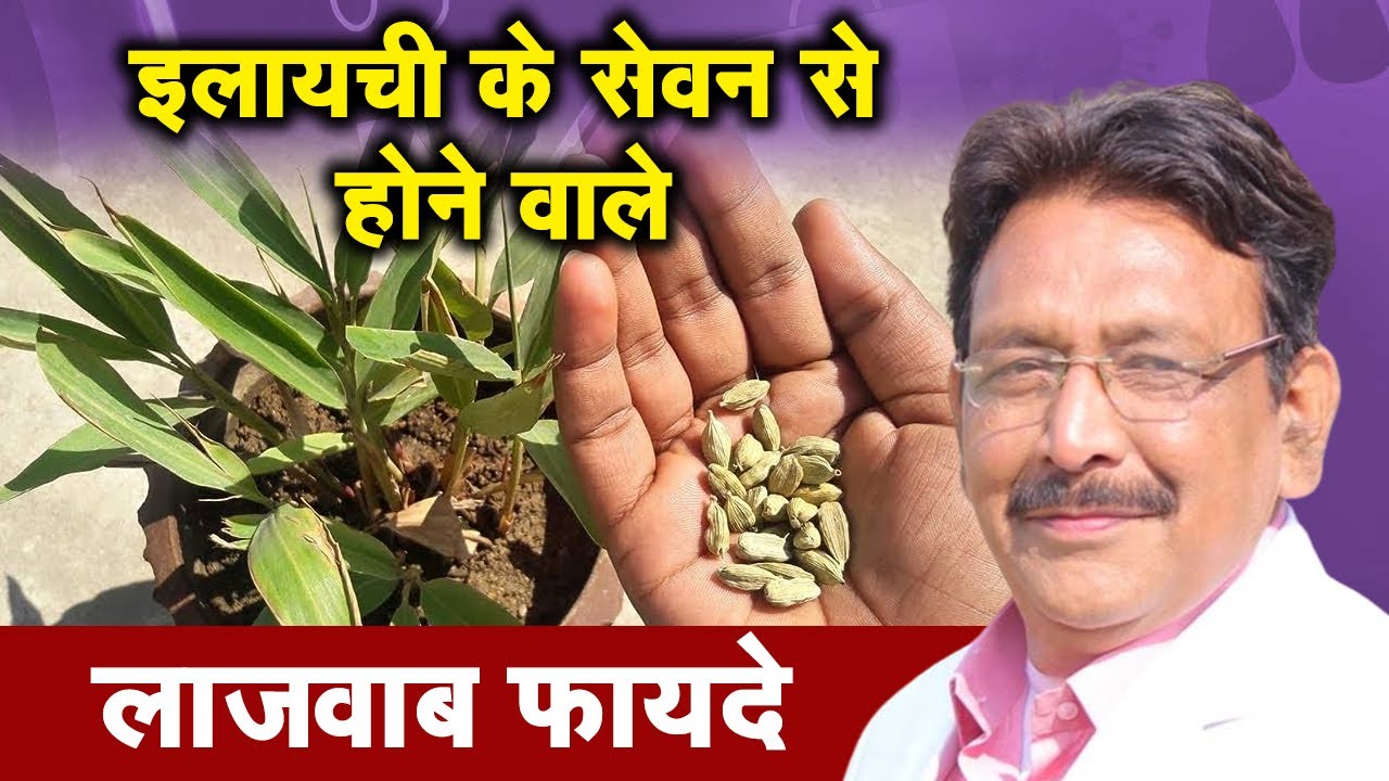 इलायची के सेवन से होने वाले लाजवाब फायदे | Hakim Suleman Khan | Sadhna TV