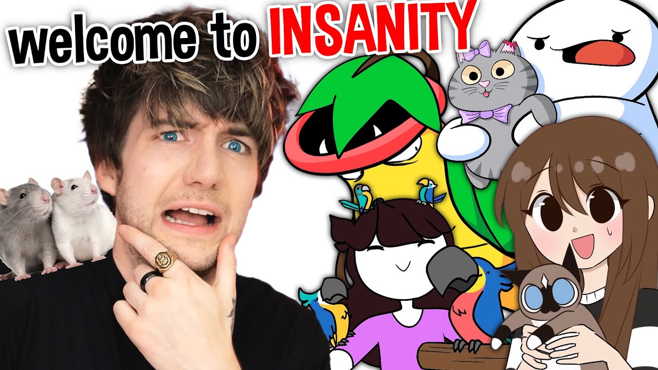 The INSANE World Of YouTuber Pets
