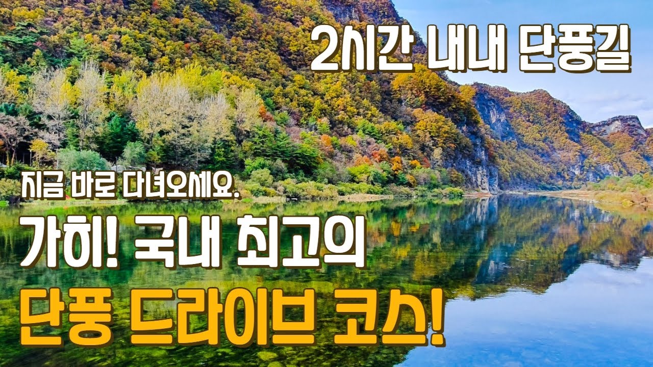 국내 최고의 가을 단풍 드라이브 코스를 소개합니다!  2시간 내내 단풍을 만끽하세요. 강원도 정선 드라이브, 정선여행 추천