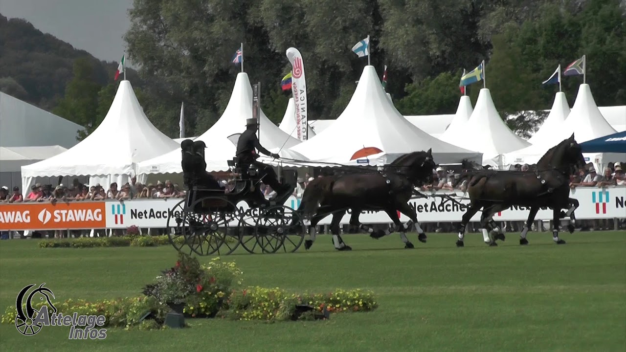 Koos De Ronde  Ned   CAIO Aachen 2018   Top score cones driving