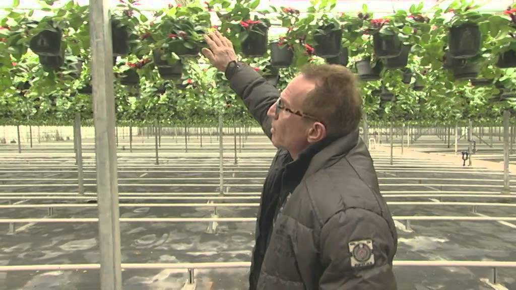 Robs grote tuinverbouwing bij Kwekerij Bert Schouten