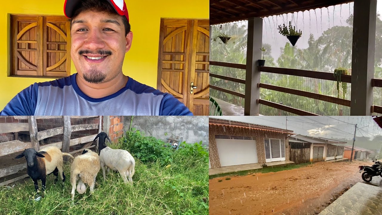 FUI COMPRAR UM CARNEIRO + A CHUVA QUE CAIU DEU MEDO / MUITO RAIO, TROVÃO E VENTO FORTE!!!
