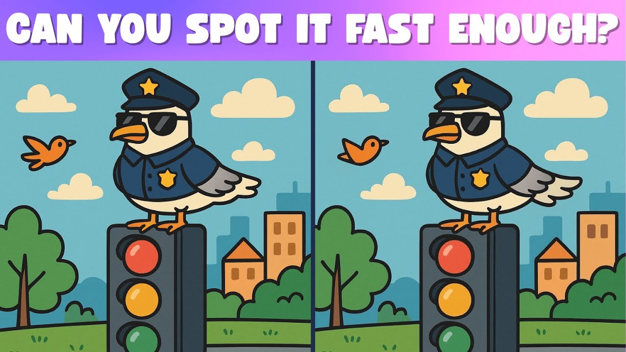 Nothing Makes Sense in This Video 🤯 | A Vacuum Sweeps, A Seagull Cops | Spot the Weird Stuff!