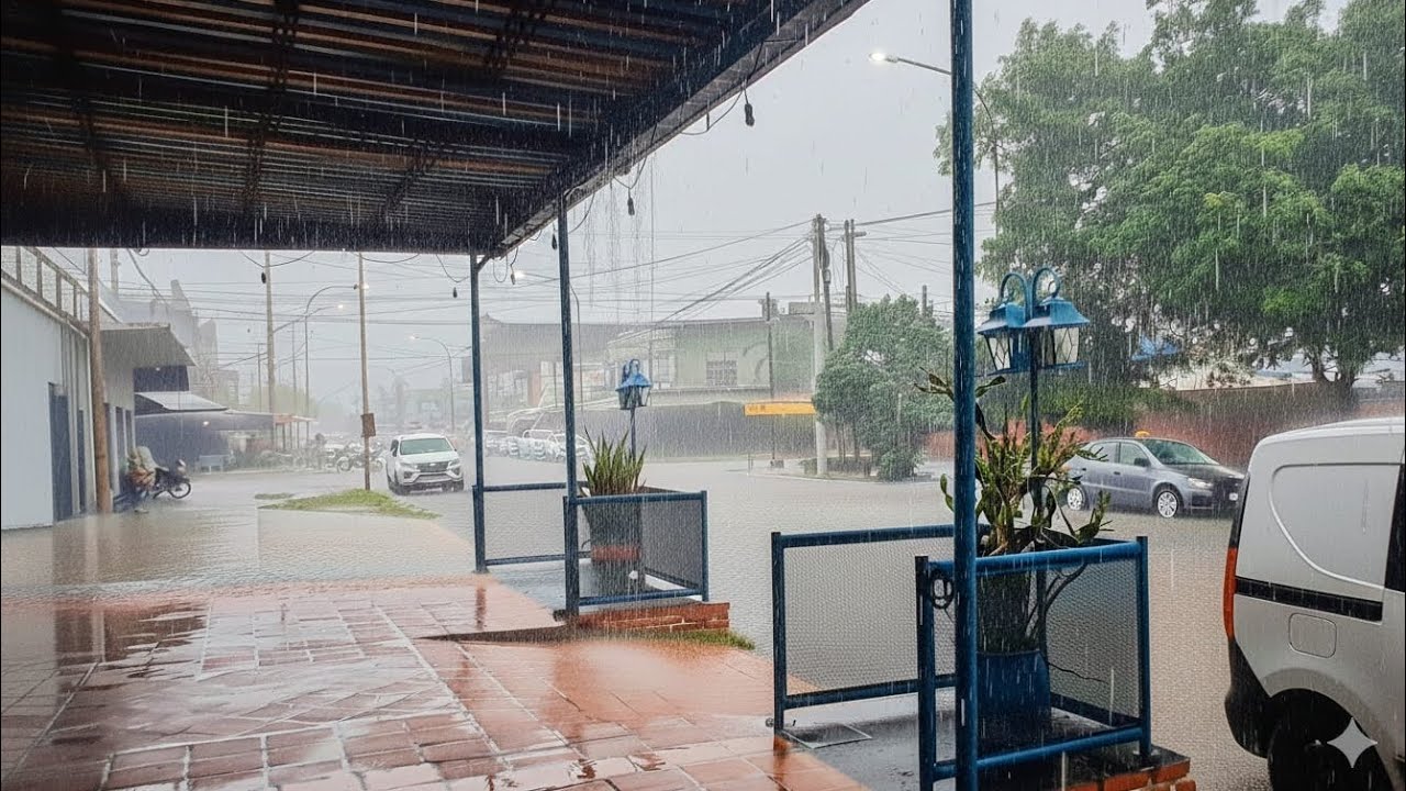 Heavy Torrential Rain on Tin Roof in Clorinda Argentina | Real Rain Sounds for Sleep (No Thunder)