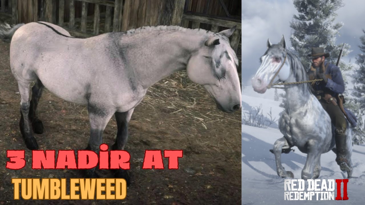 Tumbleweed Bölgesinin 3 Nadir Atı RDR2