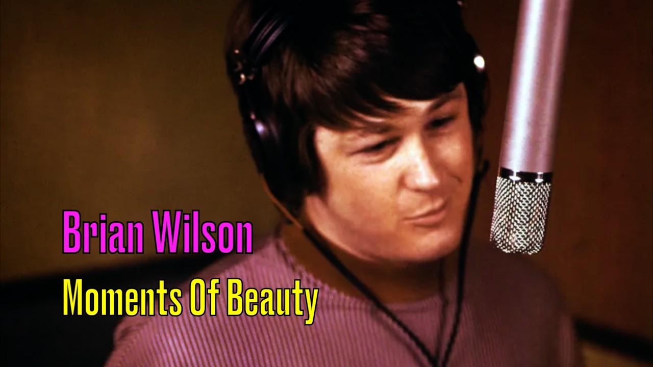 Brian Wilson / Moments Of Beauty