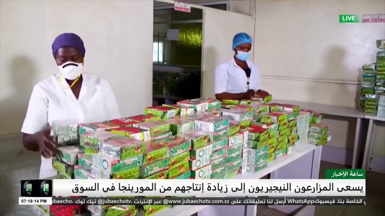 .يسعى المزارعون النيجيريون إلى الحصول على حصة أكبر من سوق المورينجا المربح.