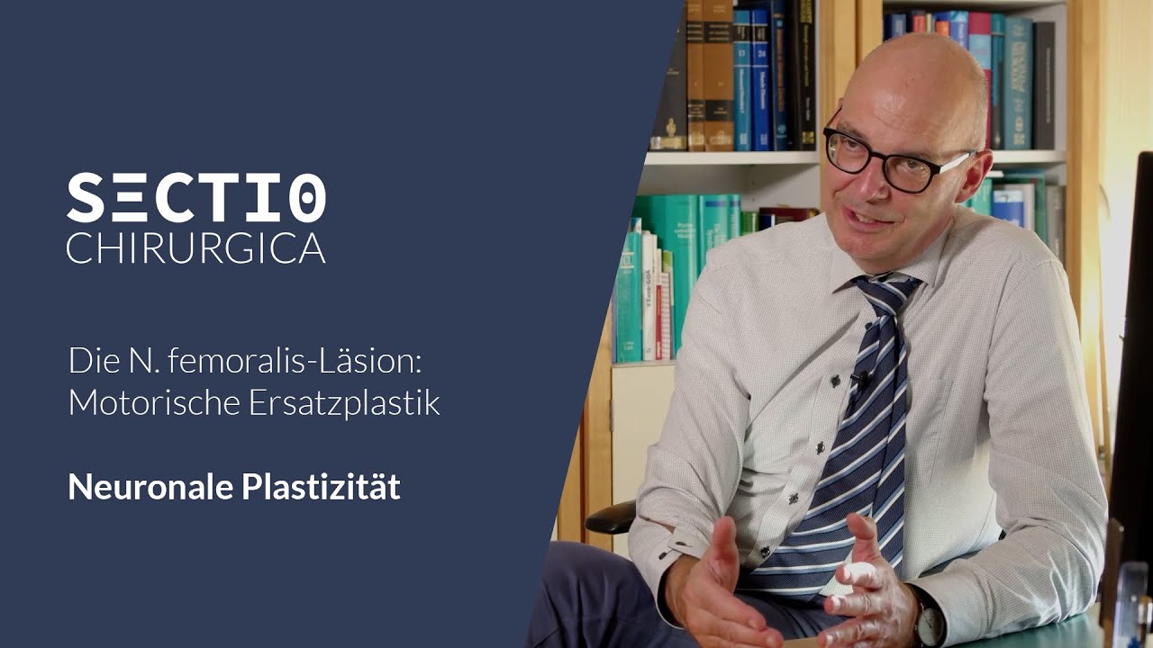 Motorische Ersatzplastik: Neuronale Plastizität