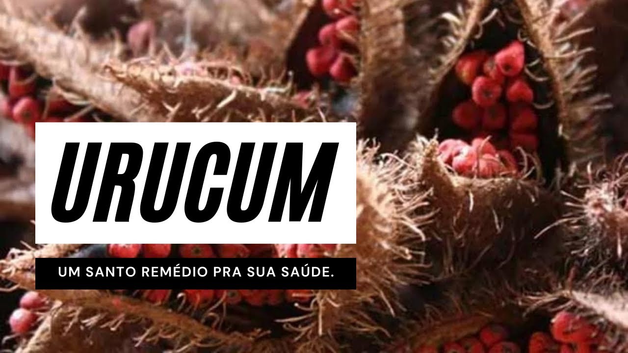 Benefícios do URUCUM para a saúde | Direto da AMAZÔNIA